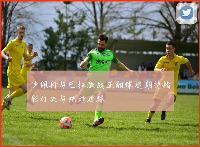 沙佩科与巴拉激战正酣球迷期待精彩对决与绝妙进球