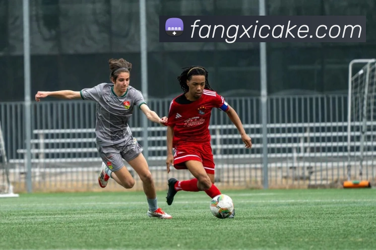 开云体育服务体系